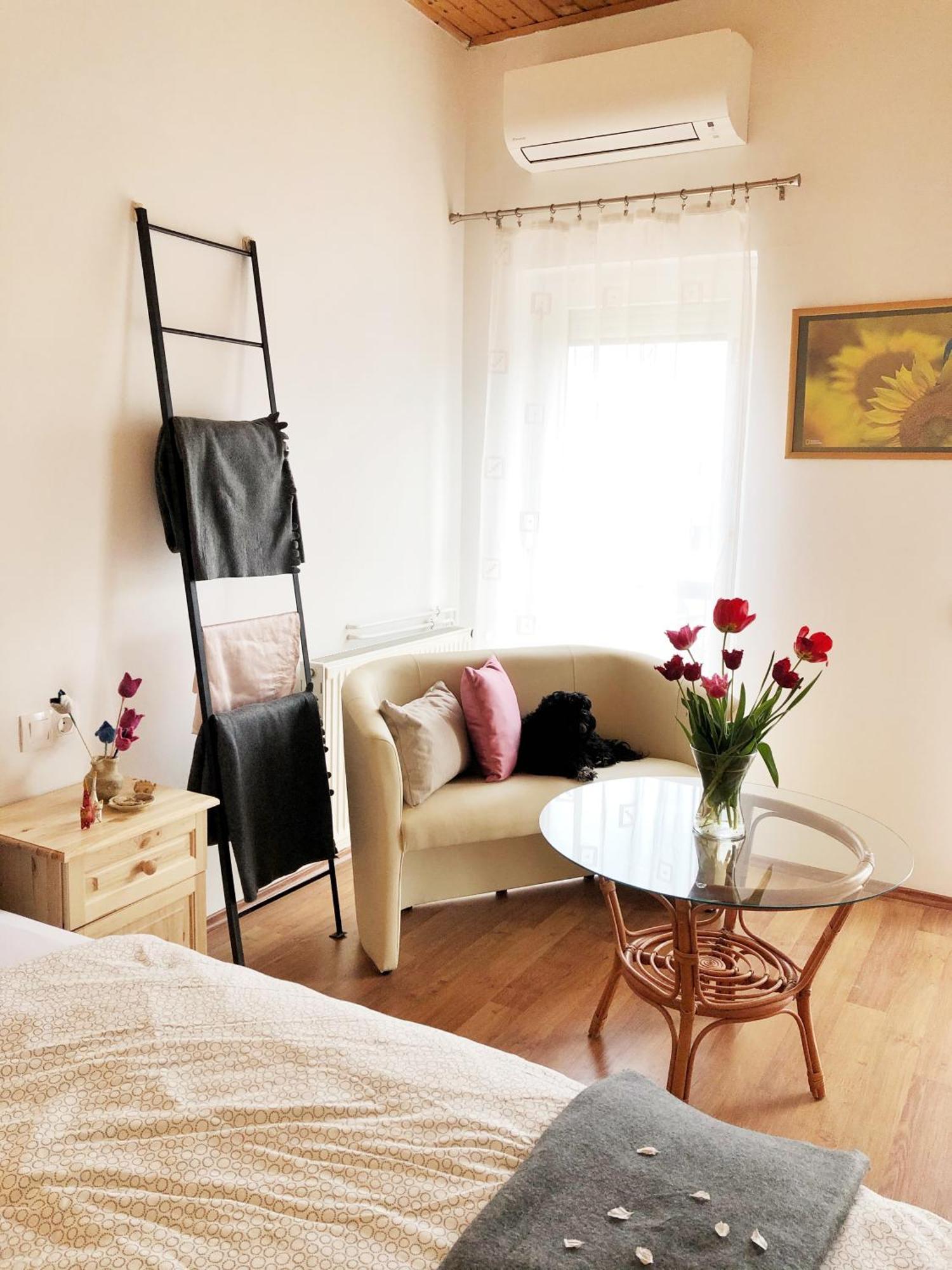Balaton Apartman 保洛兹瑙克 外观 照片