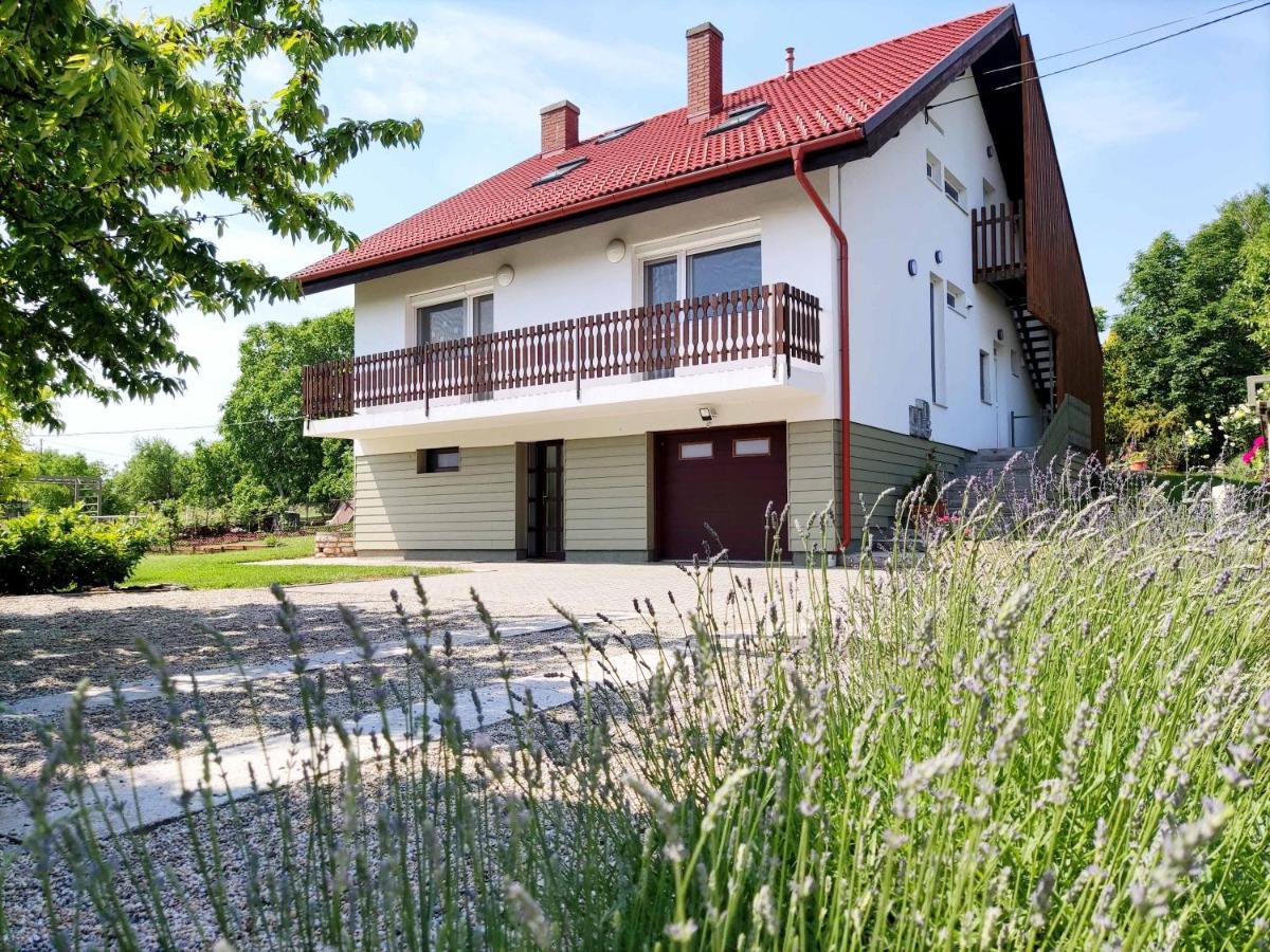 Balaton Apartman 保洛兹瑙克 外观 照片