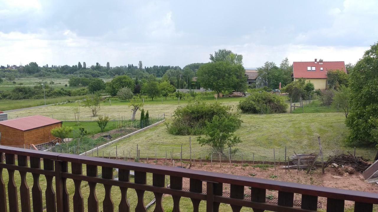 Balaton Apartman 保洛兹瑙克 外观 照片